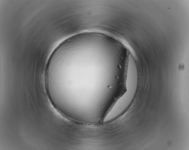 X0000091331100200709071151