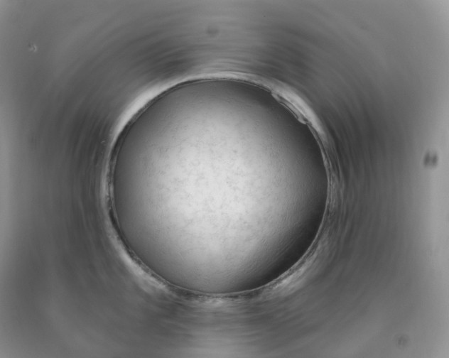 X0000091331101200709071151