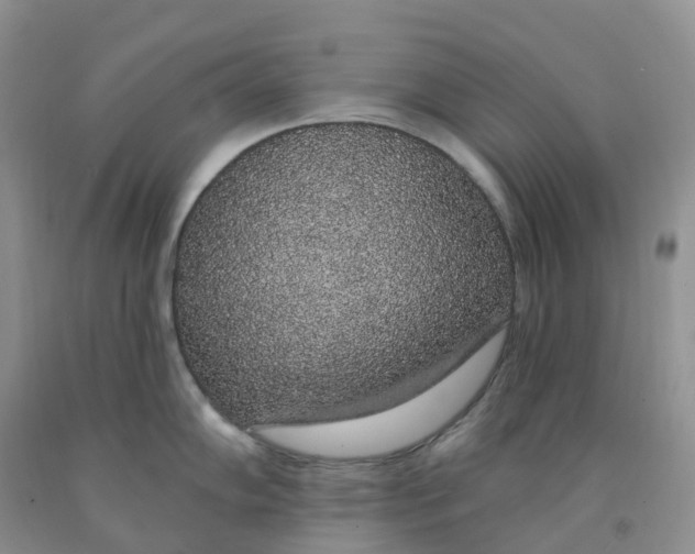 X0000091331102200709071151