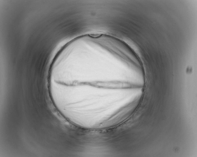 X0000091331104200709071151