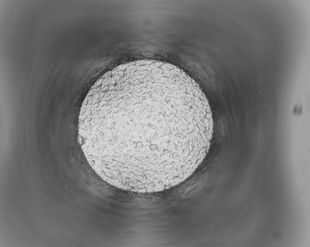 X0000091331105200709071151