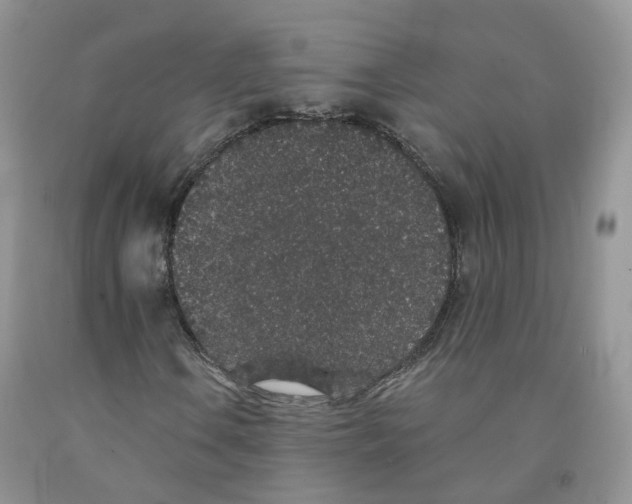 X0000091331106200709071151