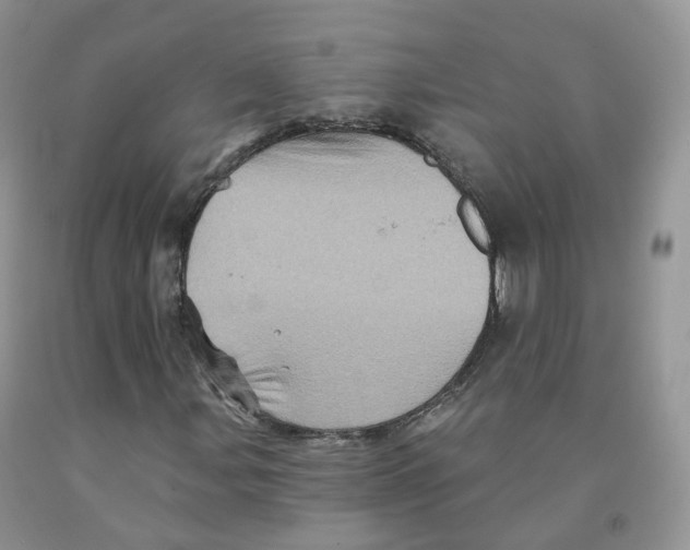 X0000091331107200709071151