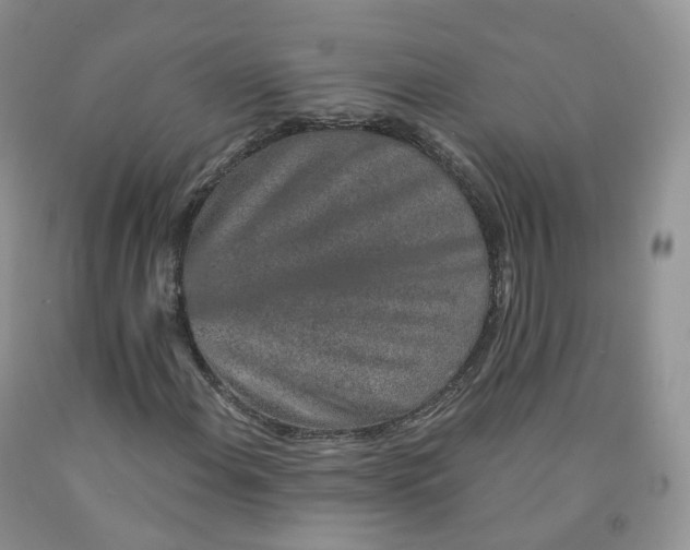 X0000091331108200709071151