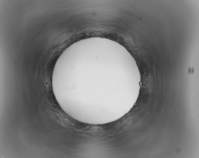 X0000091331109200709071151