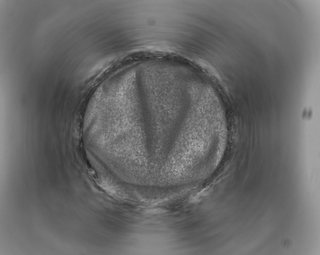 X0000091331110200709071151