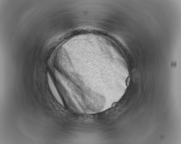 X0000091331111200709071151