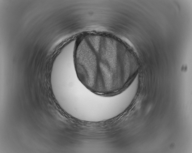 X0000091331112200709071151