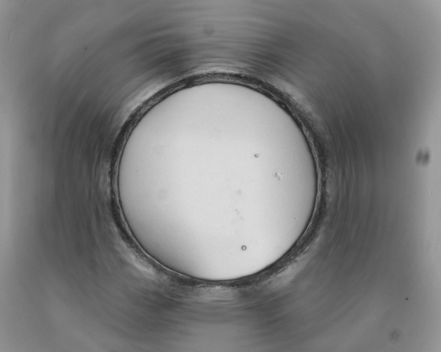 X0000091331113200709071151
