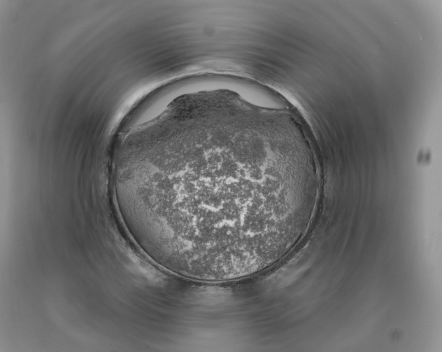 X0000091331115200709071151