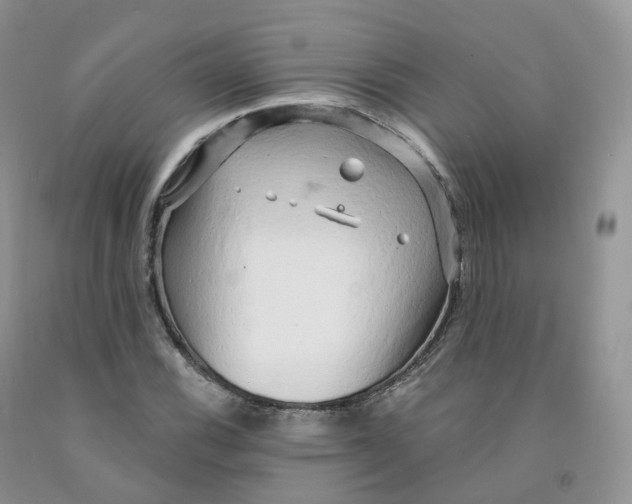 X0000091331116200709071151