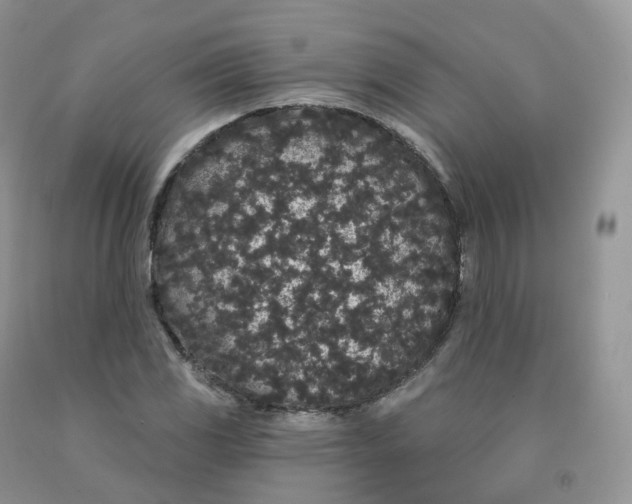 X0000091331117200709071151