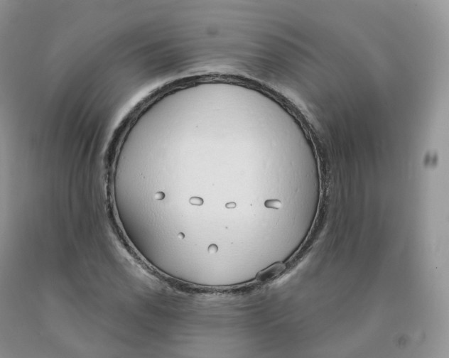 X0000091331118200709071151