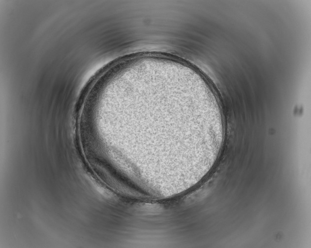X0000091331119200709071151