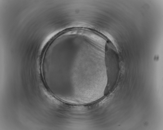 X0000091331120200709071151