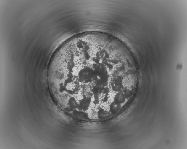 X0000091331121200709071151