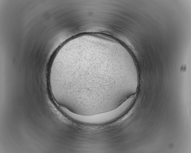 X0000091331122200709071151