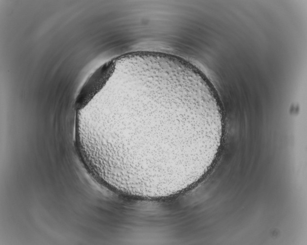 X0000091331123200709071151