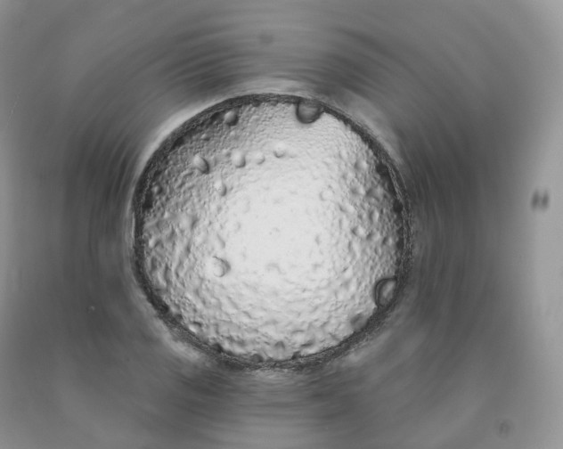 X0000091331125200709071151
