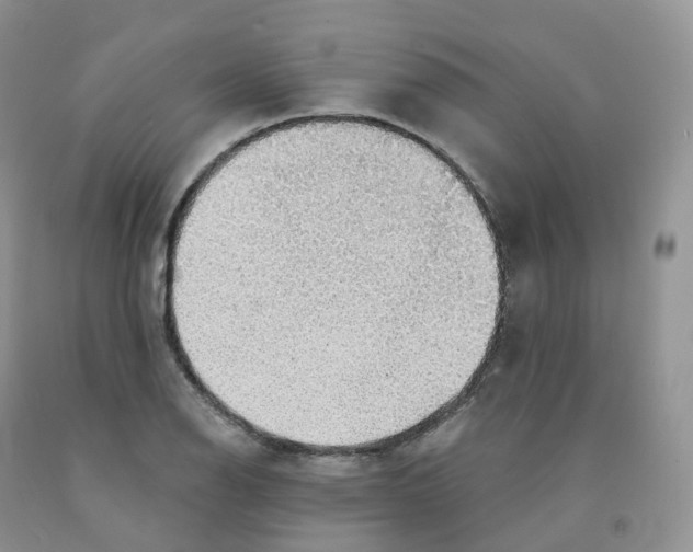 X0000091331126200709071151