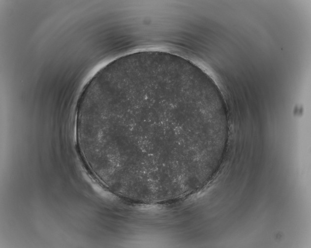 X0000091331127200709071151