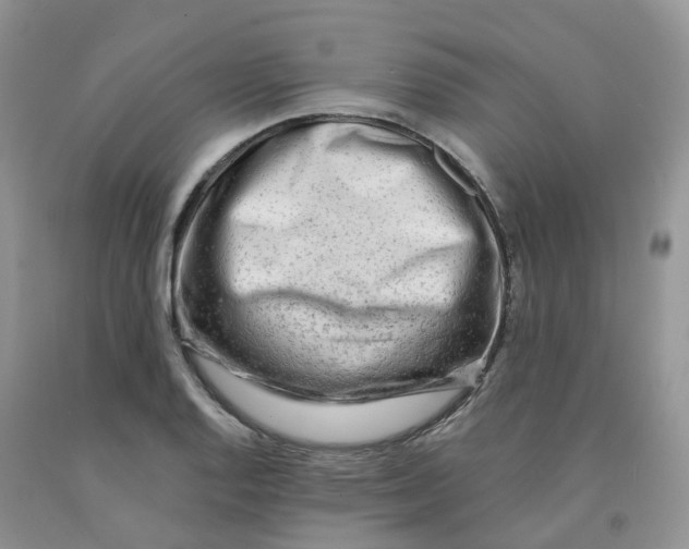X0000091331128200709071151