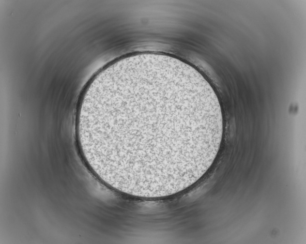 X0000091331130200709071151