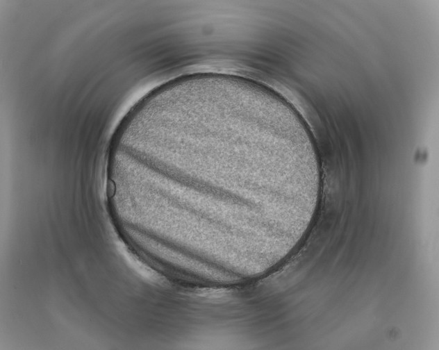 X0000091331131200709071151