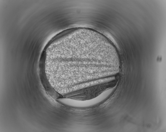 X0000091331132200709071151