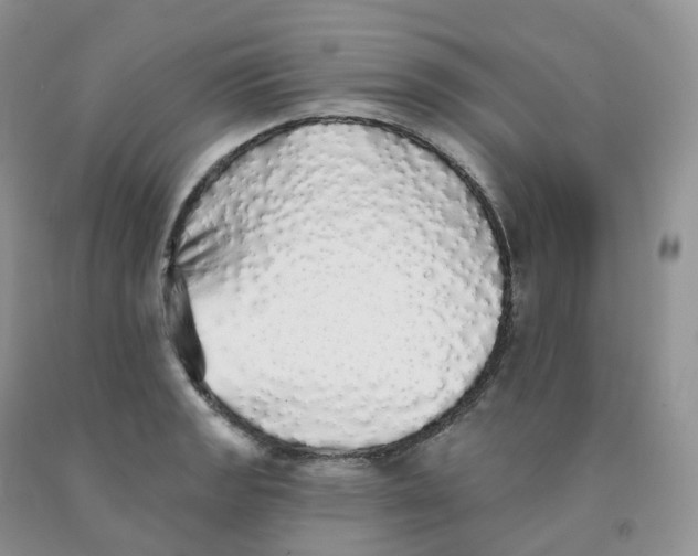 X0000091331133200709071151