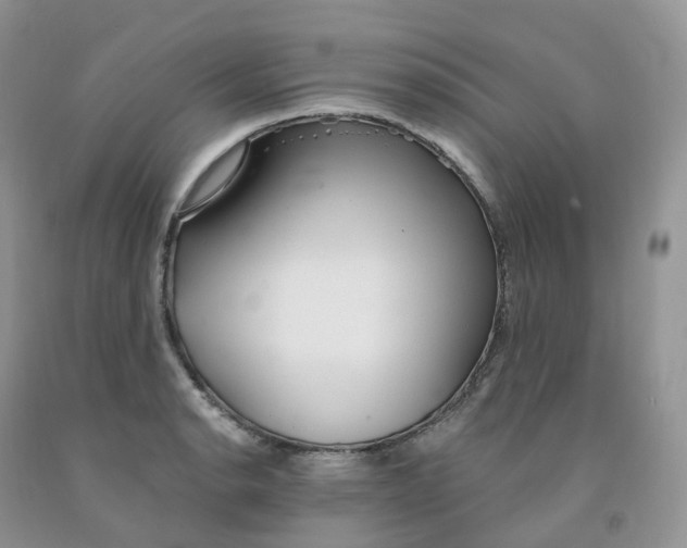 X0000091331134200709071151