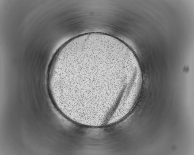 X0000091331135200709071151