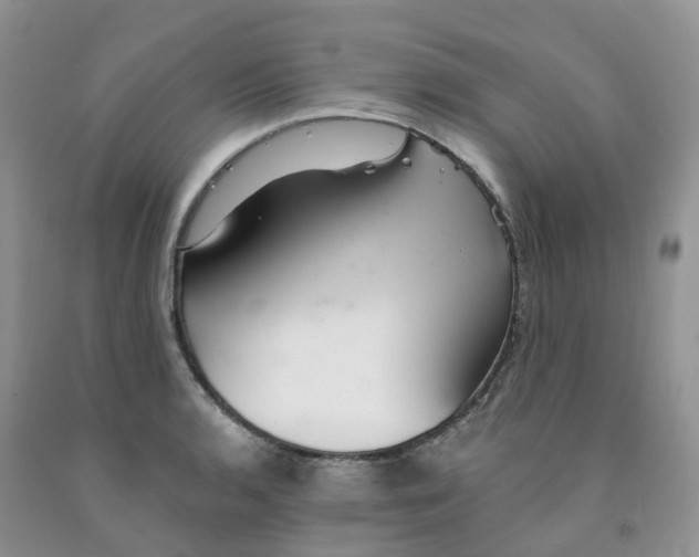 X0000091331136200709071151