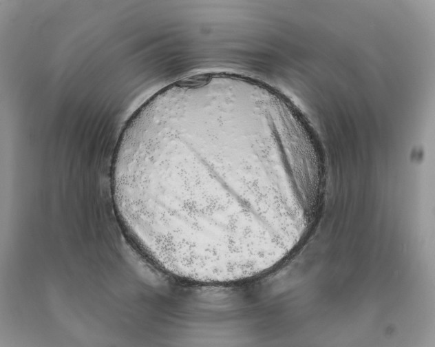 X0000091331137200709071151