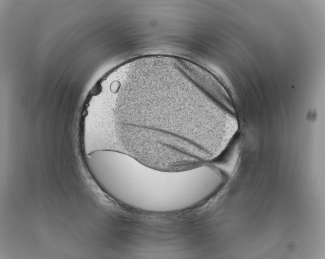 X0000091331138200709071151