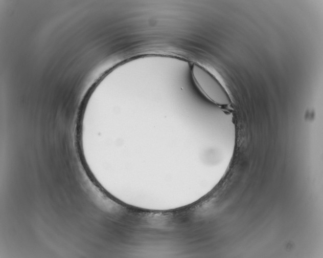 X0000091331139200709071151