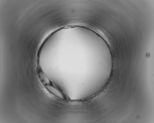 X0000091331140200709071151