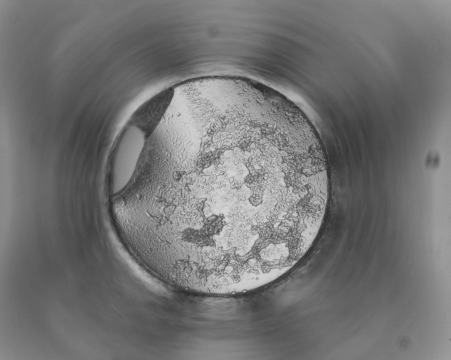 X0000091331142200709071151