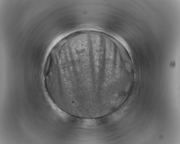 X0000091331144200709071151