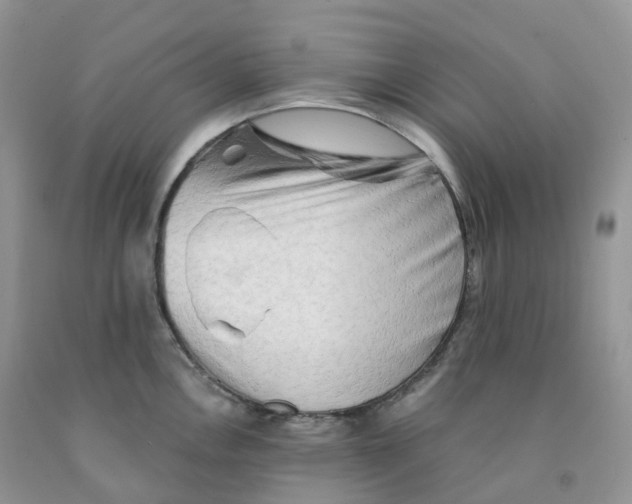 X0000091331146200709071151