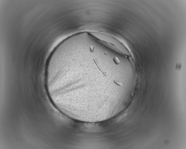 X0000091331147200709071151
