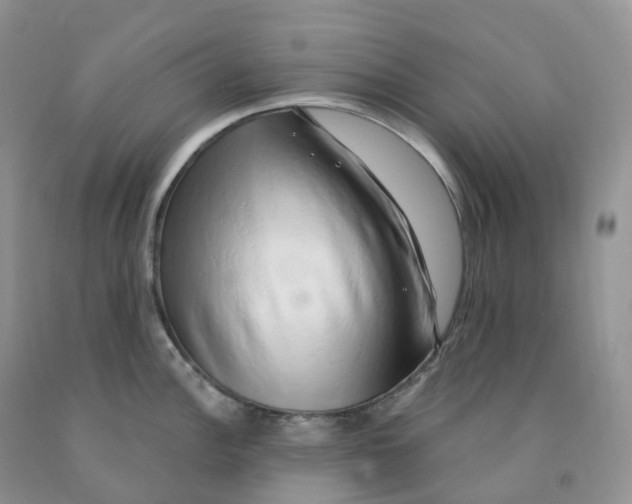 X0000091331148200709071151