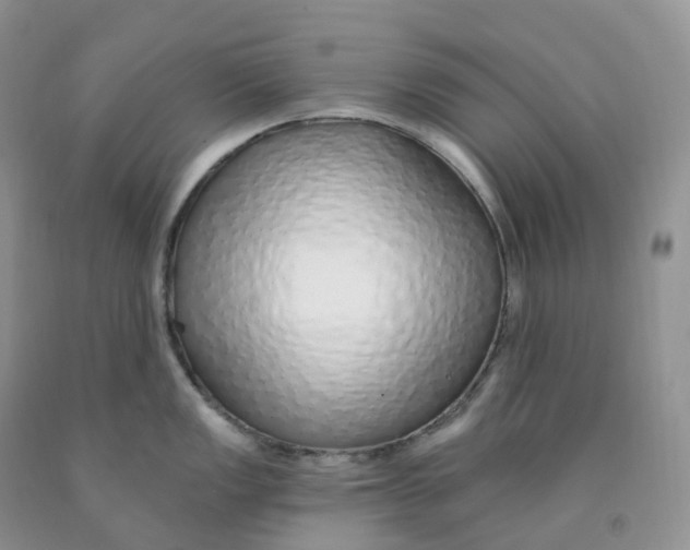 X0000091331149200709071151