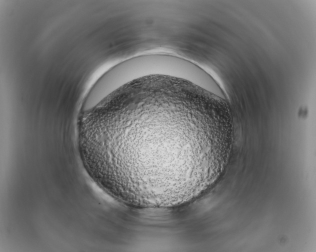 X0000091331151200709071151