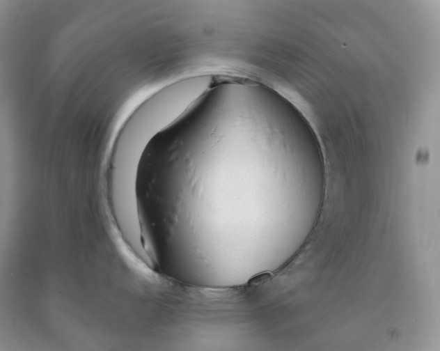 X0000091331152200709071151