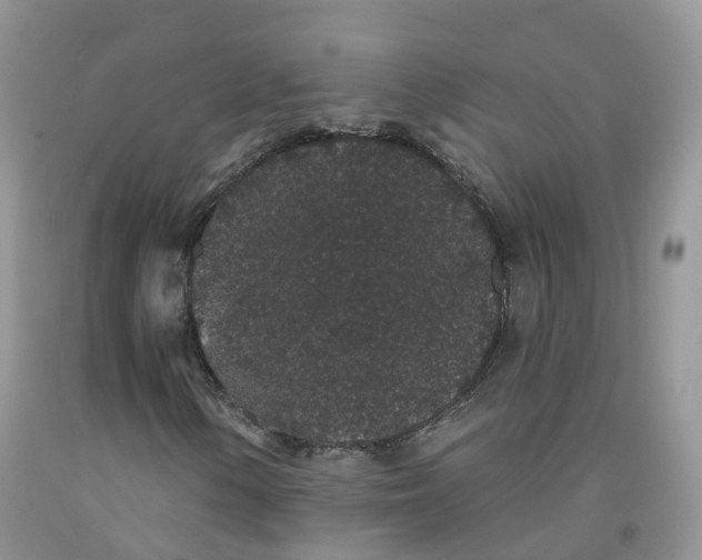 X0000091331154200709071151