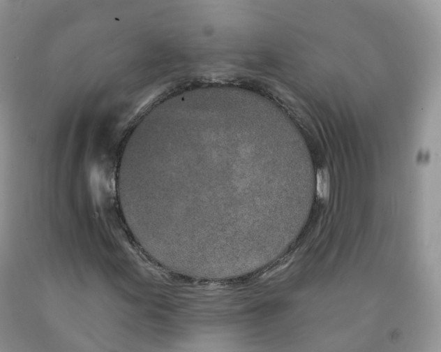 X0000091331155200709071151
