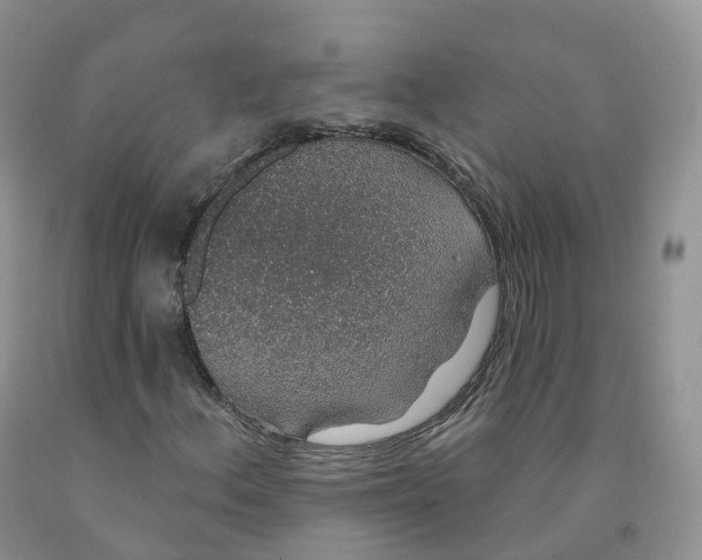 X0000091331156200709071151