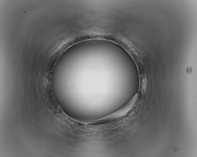 X0000091331157200709071151