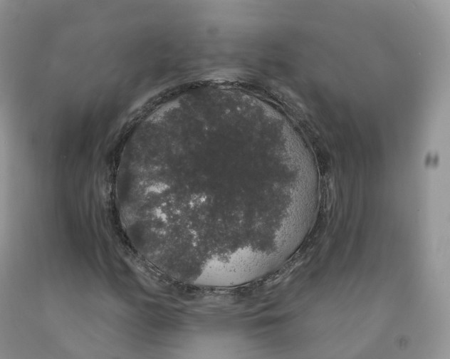 X0000091331158200709071151